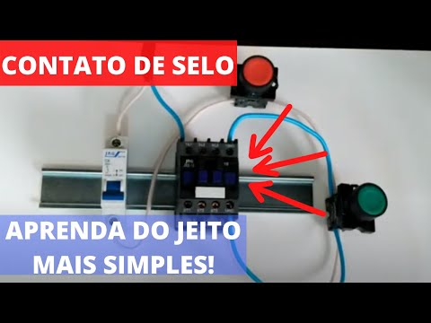 Contato de SELO | Aprenda em definitivo.