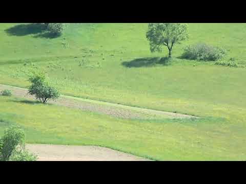 Dealul Almas din Barcani,jud.Covasna,locul copilariei mele,26.05.2010