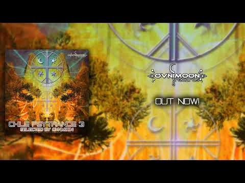 Hanumann & Cryptophonix: Newen Weichafe