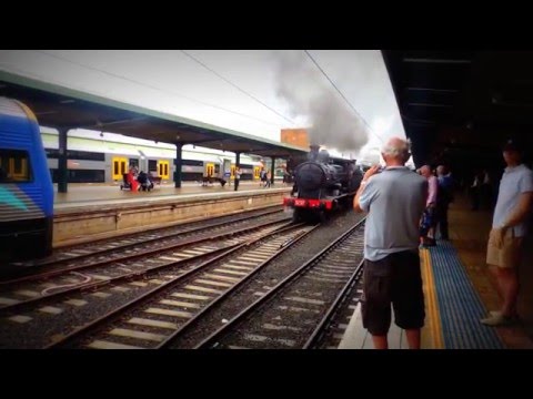 NSW Steam Locomotives Throughout 2015 - Part 1