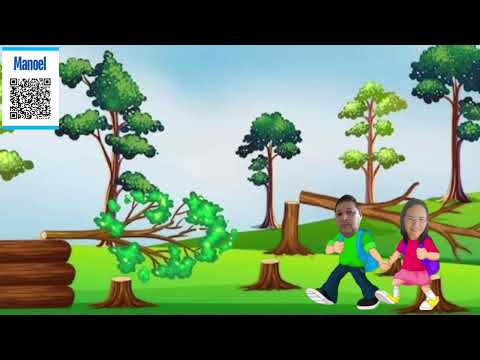 Rodrigues Alves Acre .