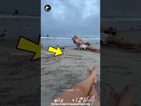 Man Made a Bird Friend😍| Facts Tamizhachi_#shorts