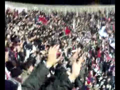 Livorno - Ascoli: 1-0 il gol di Rossini - festeggiamenti sotto la curva