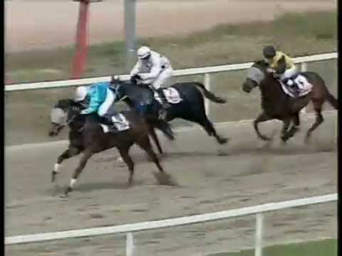 Nyeretlenek Versenye I. rész 1400m