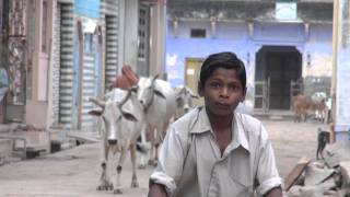 preview picture of video 'Cyclists and cows in India Narlein'