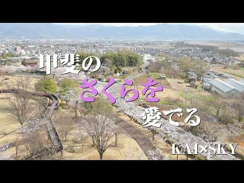 ドローンでも甲斐のさくらを愛でる