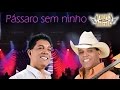 Pássaro Sem Ninho DVD André E Andrade