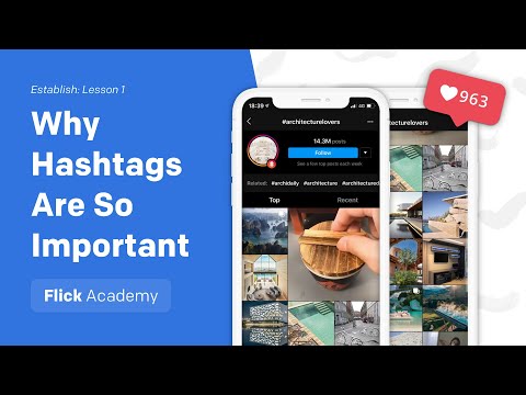 Why are Hashtags so Important on Instagram? | Establish