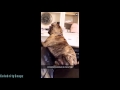 Ariana Grande Snapchat Videos March 23rd 2016