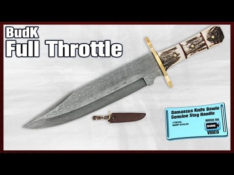 Damascus Knife Bowie Genuine Stag Handle