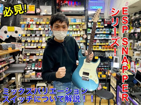 スナッパーについて詳しく解説