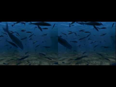 From the Sea to Mars via Galway in 3D