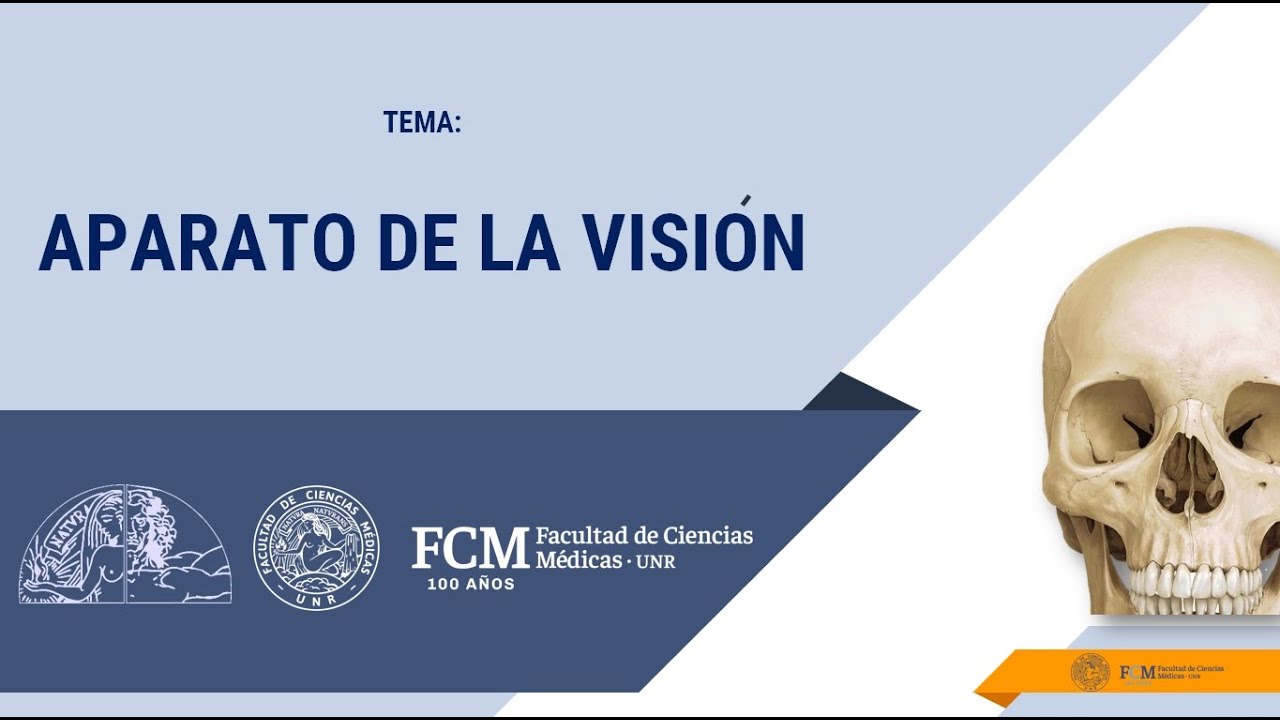 Aparato de la visión.