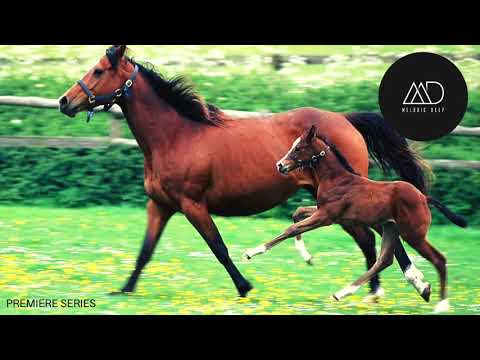 PREMIERE: Hanna Hais - Ya Weldi (Diamandy Remix) [Voyeur Music]