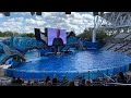 Orca Encounter Show SeaWorld Orlando Nov 2021