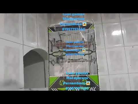 Gaiola de coleiro entregue ao cliente Jean Jandira são Paulo. Entrega via correios. 