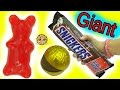 Biggest Candy Bars Ever Giant Candy Big Gummy Bear Chocolate Food Haul Video