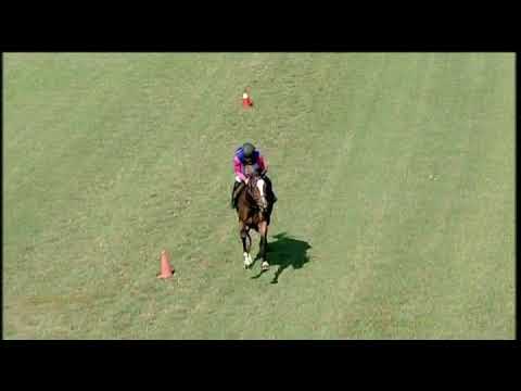 20210421 Hollywoodbets Greyville Gallop by CAPTAIN'S RANSOM