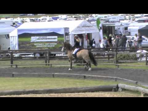 Kronshof Special 2011