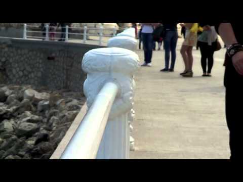 Trupa Aici pt Ideo Ideis 2015varianta oficiala