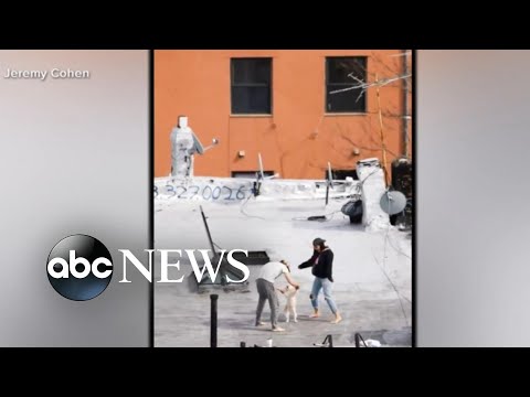 ニューヨークのロックダウンからのスナップショット (Snapshots from New York’s lockdown)