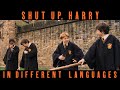 SHUT UP HARRY In Different Languages Harry Potter And The Philosopher S Stone