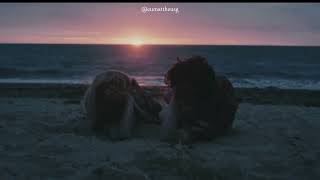 Eu Te Darei o Céu | Roberto Carlos | Legendado