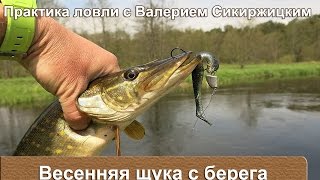 Ссылка