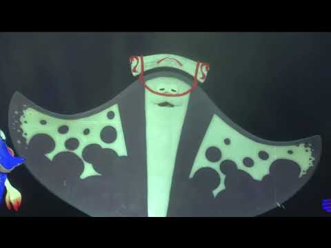 Anarchy Rainbow ft. Off the Hook |Nintendo LIVE 2024 TOKYO SPLATOON 3