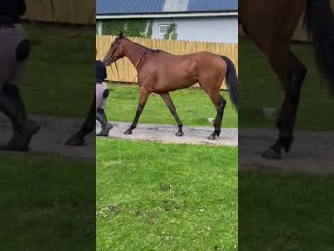 Video 1