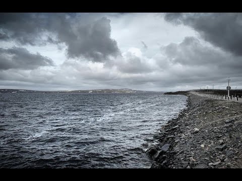 Interview: Fardin Sharify - Free in freezing