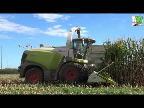 Fendt 1038 Vario - Claas Jaguar 970 (498) - Silage 2017