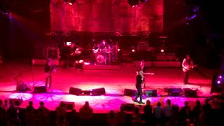 Emperor Penguin - The Tragically Hip