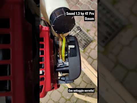 Sound motore fuoribordo Ozeam 1.3 hp 4 tempi PRO