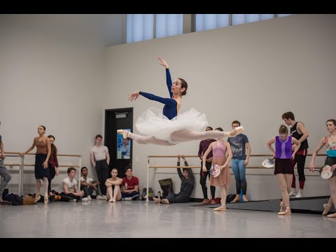 Gamzatti Variation - Thays Golz