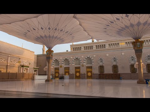 شاهد الفيديو