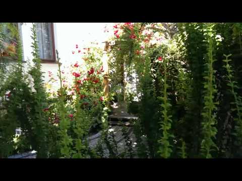 Hotel Salve  *** Glogowek