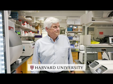Harvard's David Corey on Gene Therapy Breakthrough for Childhood Deafness