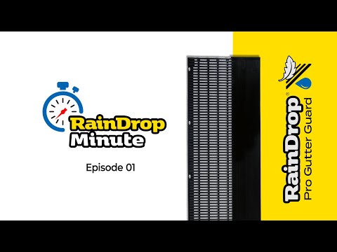 RainDrop Minute: Intro to the Gutter Guard