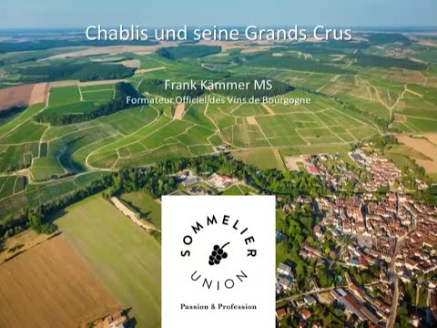 Chablis #2 - Chablis und seine Grands Crus erklärt von Frank Kämmer MS
