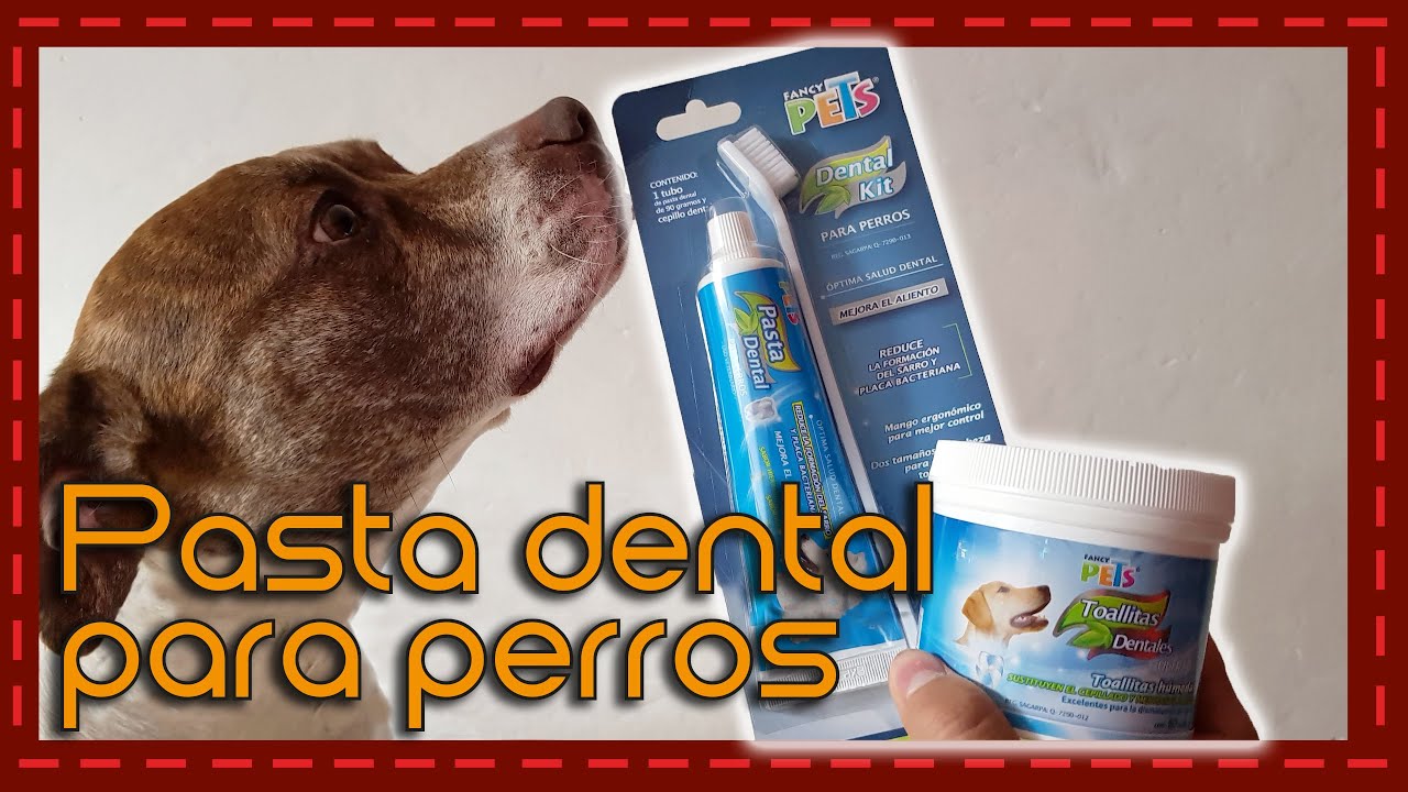 Conoce a: Pasta dental y toalla dental para perros Fancy Pets