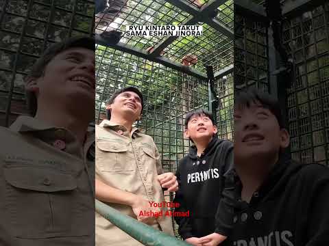 Ryu scared to go into the tiger cage!! #animals #tiger #ryukintaro #funny #shortvideo #fyp