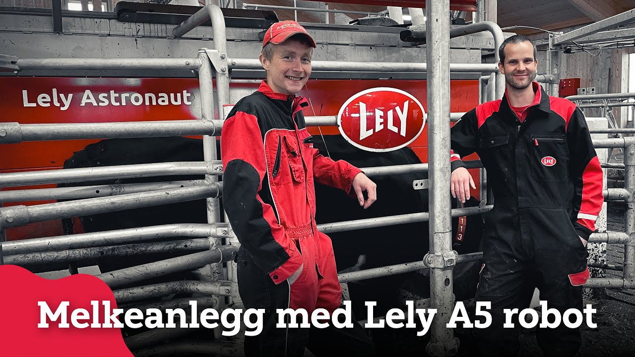 Gjennomgang av melkeanlegg med Lely A5 melkerobot
