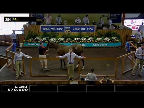 2018 Gold Coast Yearling Sale - Day 2 (Live Stream Archive)