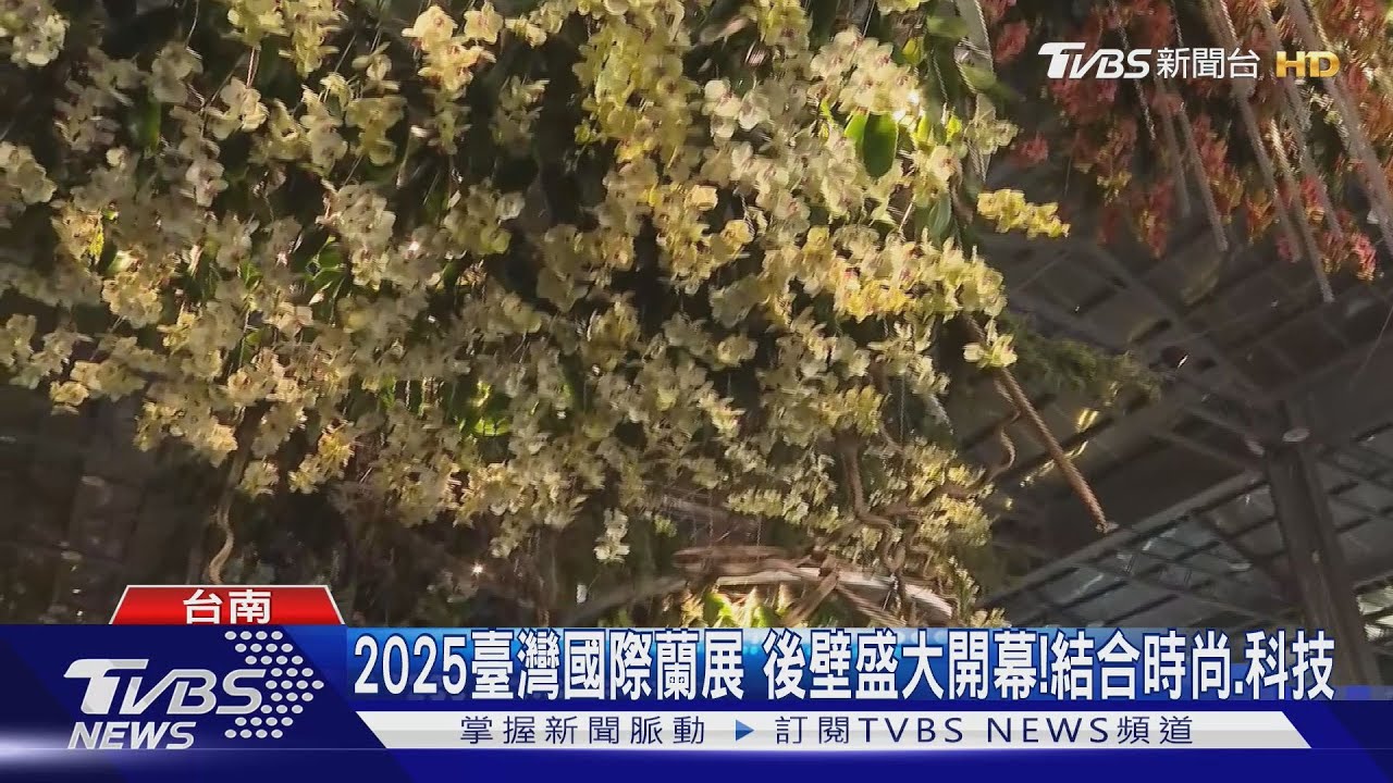 臺灣國際蘭展開幕!首結合亞太國際會議 黃偉哲:希望突破35萬人次參觀