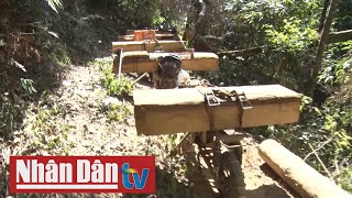 Kon Tum: Bắt lâm tặc khai thác, vận chuyển gỗ trái phép