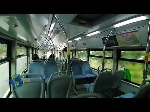 Mundo dos Autocarros - STCP 3259