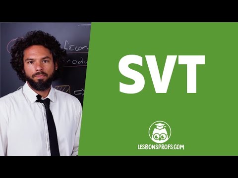 La définition d'espèce