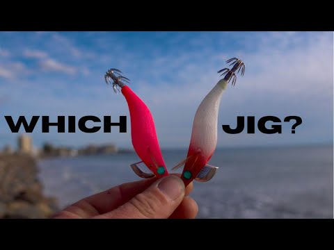 WHAT COLOUR do SQUID prefer (TESTED - underwater footage)