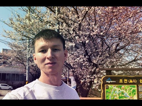 Че по Чем? I Цены на Базаре I Цветение сакуры I Уличная Еда I Южная Корея 2019